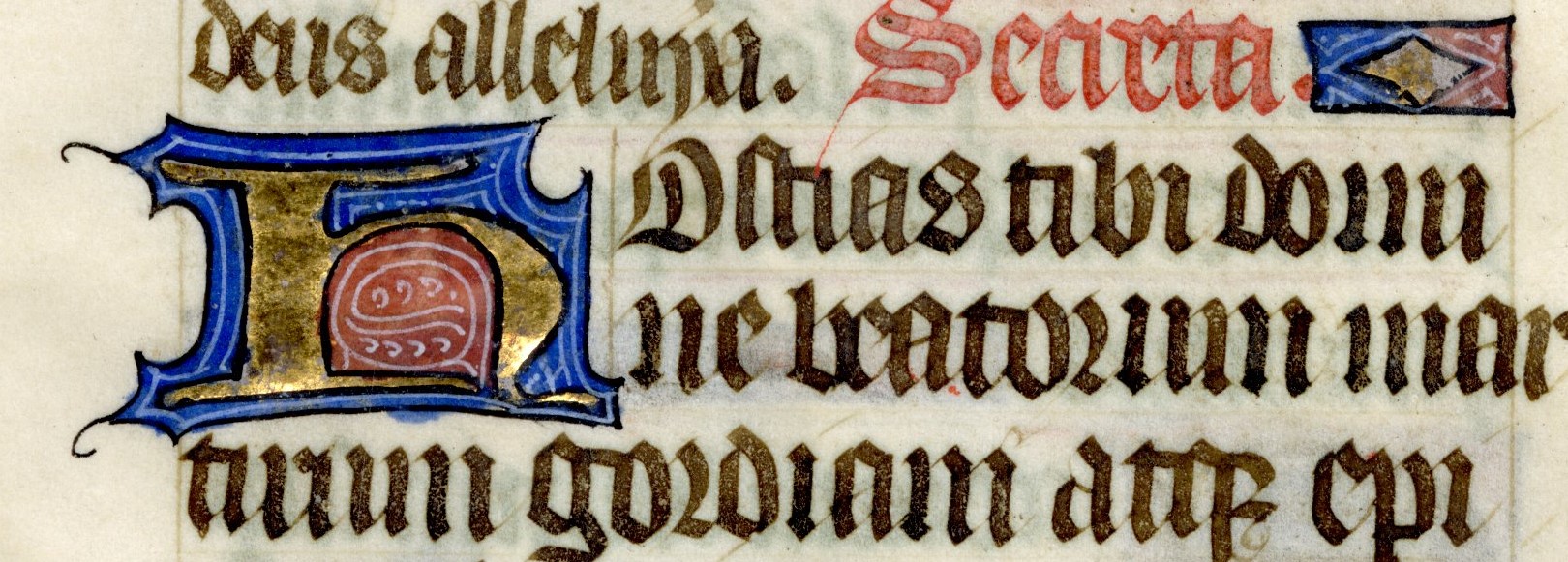 Medieval Illuminated Manuscripts