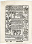 Folio 49, Recto by Harmann Schedel