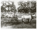 Ladies in a Buckboard Wagon by Jack Ritchie