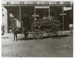 Original Ruston Hardware and Furniture Co. 113 N. Vienna c.1890 by Jack Ritchie